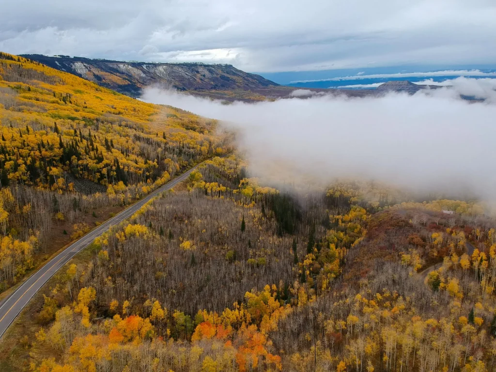 An aerial view of the stunning golden aspens in Aspen, Colorado, during the fall season. The bright yellow and orange leaves blanket the rolling hills of the Rockies, with a winding road cutting through the landscape. A layer of mist hovers over the forest, adding a mystical touch to the breathtaking autumn scenery.