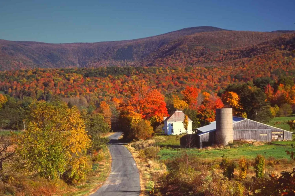 A charming countryside road winds through a vibrant autumn landscape in the Berkshires, Massachusetts. A quaint farmhouse and barn are nestled among colorful trees in shades of red, orange, and gold, with rolling hills rising in the background.