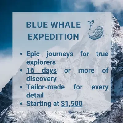 Blue Whale Expedition