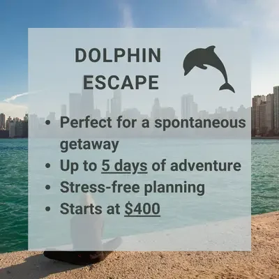 Dolphin Escape