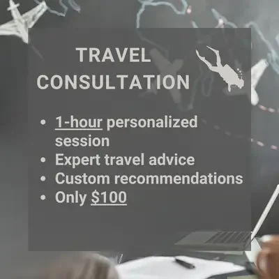 Travel Consultation